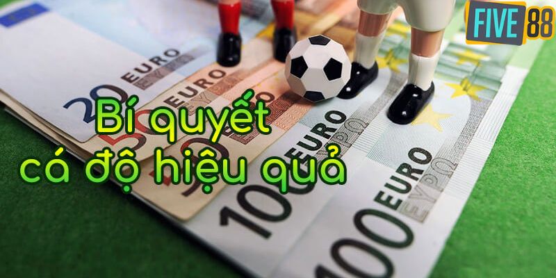 Phương pháp cá độ hiệu quả mà cược thủ nên biết